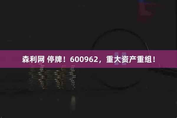 森利网 停牌！600962，重大资产重组！