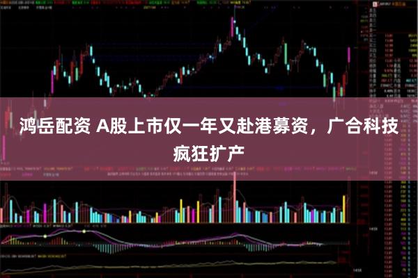 鸿岳配资 A股上市仅一年又赴港募资，广合科技疯狂扩产