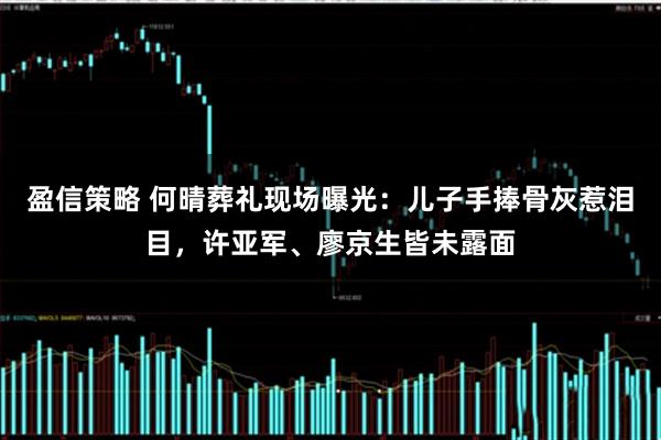 盈信策略 何晴葬礼现场曝光：儿子手捧骨灰惹泪目，许亚军、廖京生皆未露面